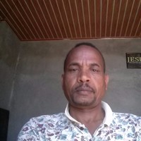 Paulos Mamo