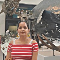 nitika gupta