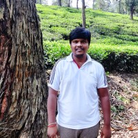 Nivash Murugesan