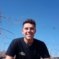 Pedro Perabó