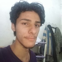 Bruno R Lino da Silva