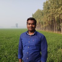 Prem Anand Gingee
