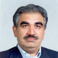 Hossein A.