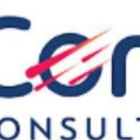 Comet Consulting, LLC