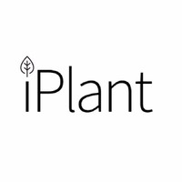 iPlant Team