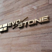 evo stone