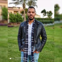 Hazem Bashandy