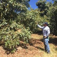 Juan Manuel Magdaleno Torres