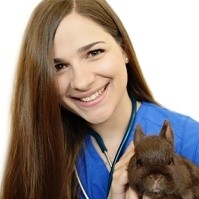 Dimitra Boile