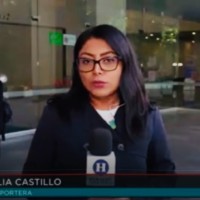 Elia Castillo
