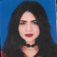 Nisreen Al-Hefny