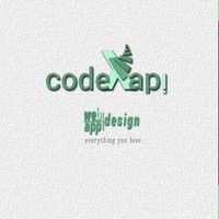 Codex Api Ltd.