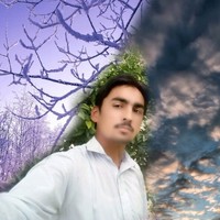 Ameer Hamza