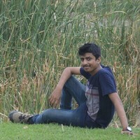Mehta Harsh