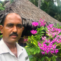 Rakesh Kumar