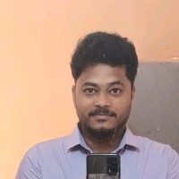 Parthasarathi S