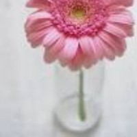 Shyamal S