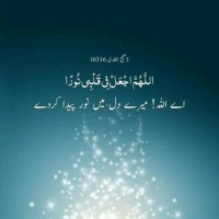 RAMEEZ HASSAN