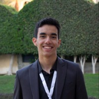 Saif Ayman