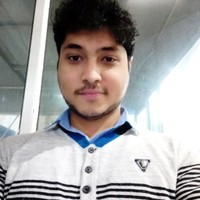 Robin Rajput