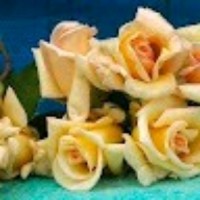 SUCHITHRA Suchithra