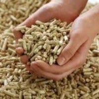 Biomass Pellets Supply Chain