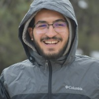 Ali Fares