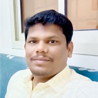 Parthasarathi P
