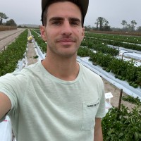 Ioannis Dimitrakopoulos