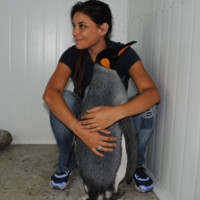 Camila Pastene Gorigoitía