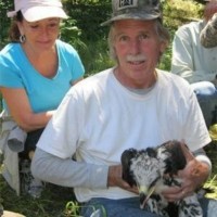 Rob Fender