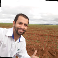 Pedro Ferreira Morais