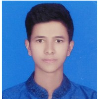 Foysal Bin Nour