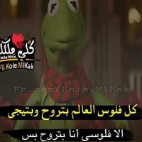 mohamed shabaan