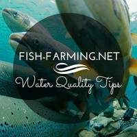 Fish Farming