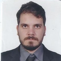 Luiz Felipe Fernandes Martins