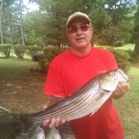 Scott Joyner