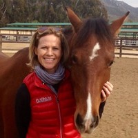 Andrea Shepley, B.A., RVT, IAED/C