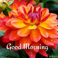 Manoj Thapa