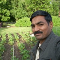 Raghavan babu