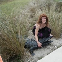 Wendy Higgins