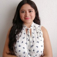 Silvia Argaez Rodríguez