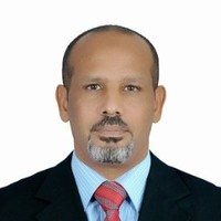 fathi bassit
