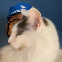 Jackson Showalter-Cavanaugh