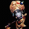 manoj yadav