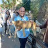 محمد الرشيدى