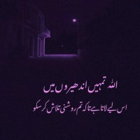 Zoha adil