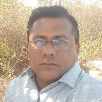 Shafi Ansari