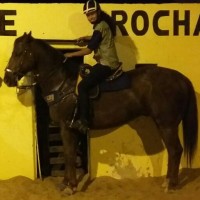 Parque Rocha
