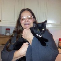 Pat Willan